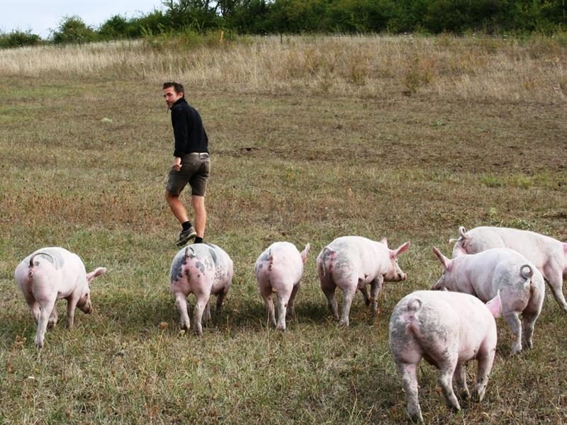 Photo 1 — Saint-Médard, Moselle (57260)