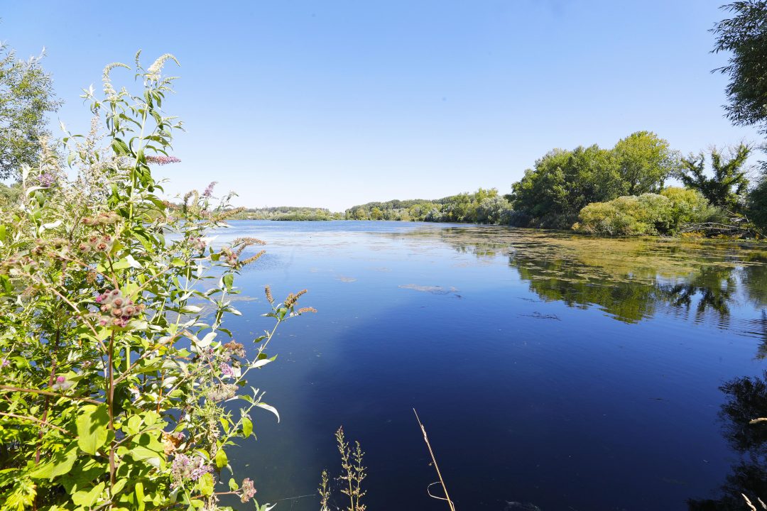 Photo 2 — Lécluse, Nord (59259)