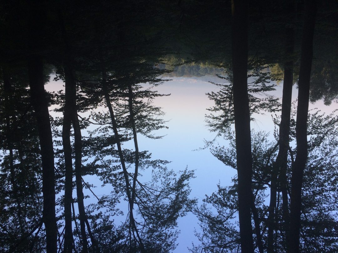 Photo 2 — Chamant, Oise (60300)