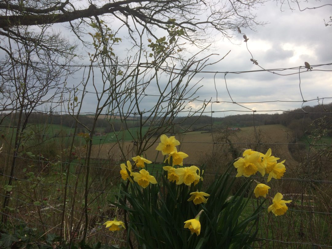 Photo 2 — Hécourt, Oise (60380)
