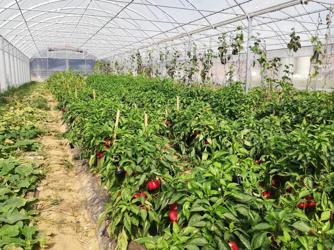 Photo 2 — Nivillers, Oise (60510)