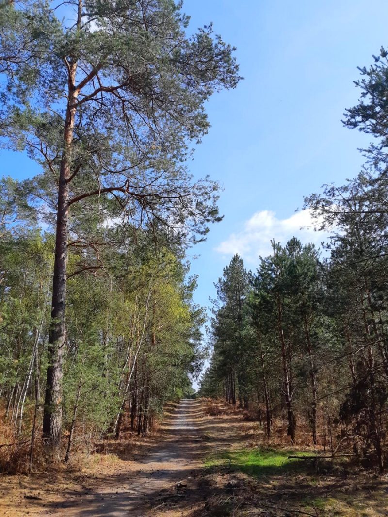 Photo 2 — Orry-la-Ville, Oise (60560)