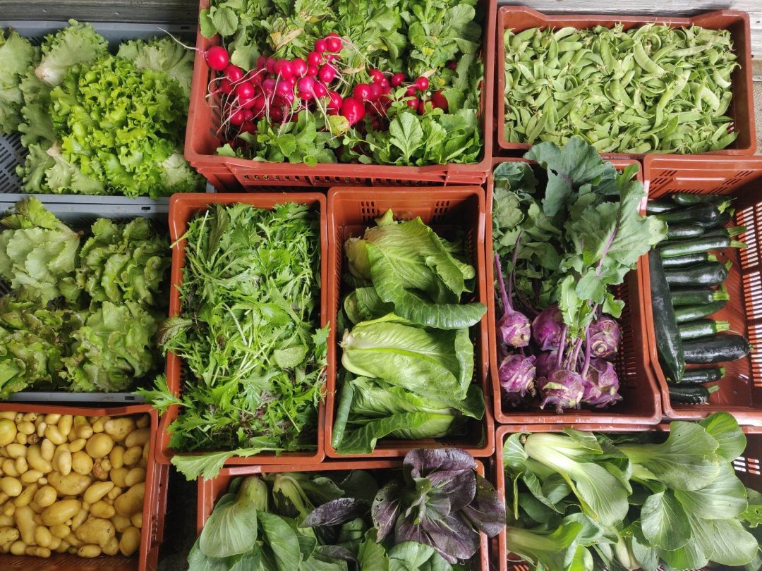 Reuil-sur-Brêche, Oise