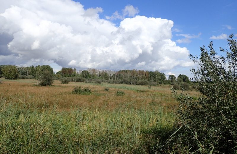 Saint-Martin-Longueau, Oise