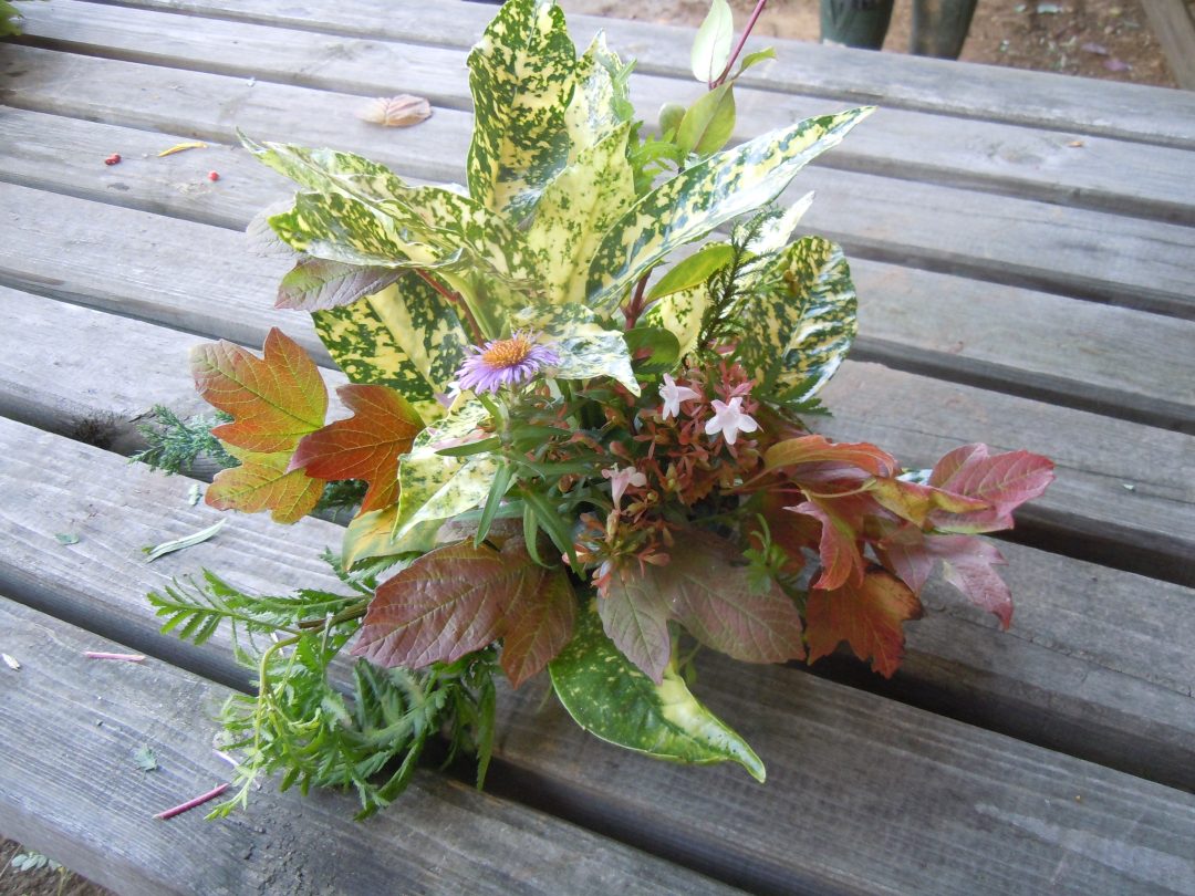 Photo 2 — Serans, Oise (60240)