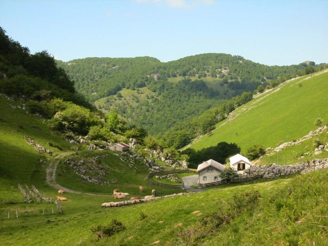 Béhorléguy, Pyrénées-Atlantiques