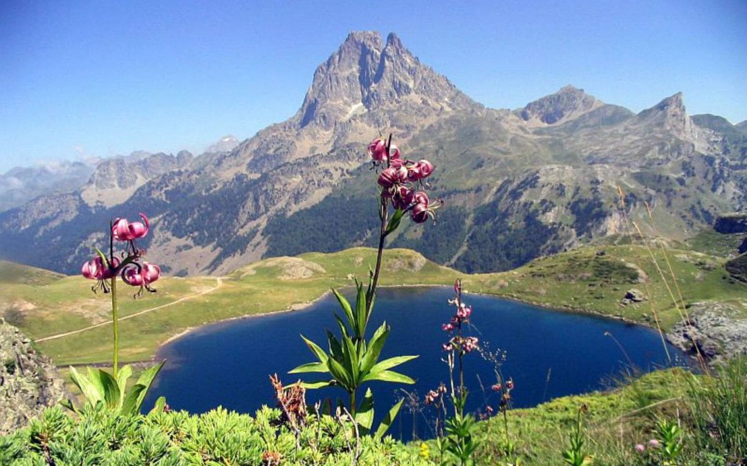 Photo 2 — Bruges-Capbis-Mifaget, Pyrénées-Atlantiques (64800)