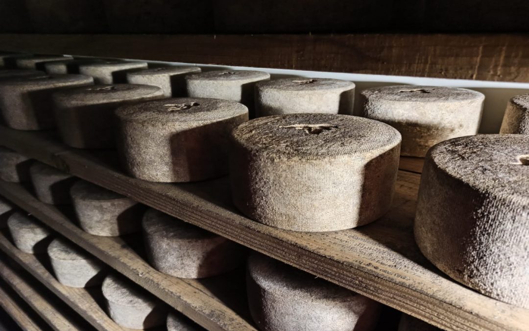 Photo 2 — Bustince-Iriberry, Pyrénées-Atlantiques (64220)