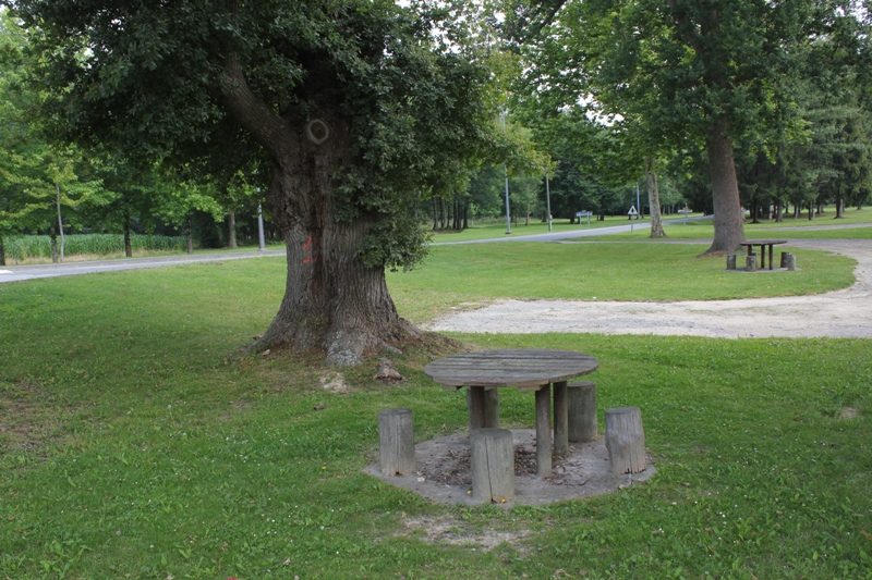 Photo 2 — Lahourcade, Pyrénées-Atlantiques (64150)