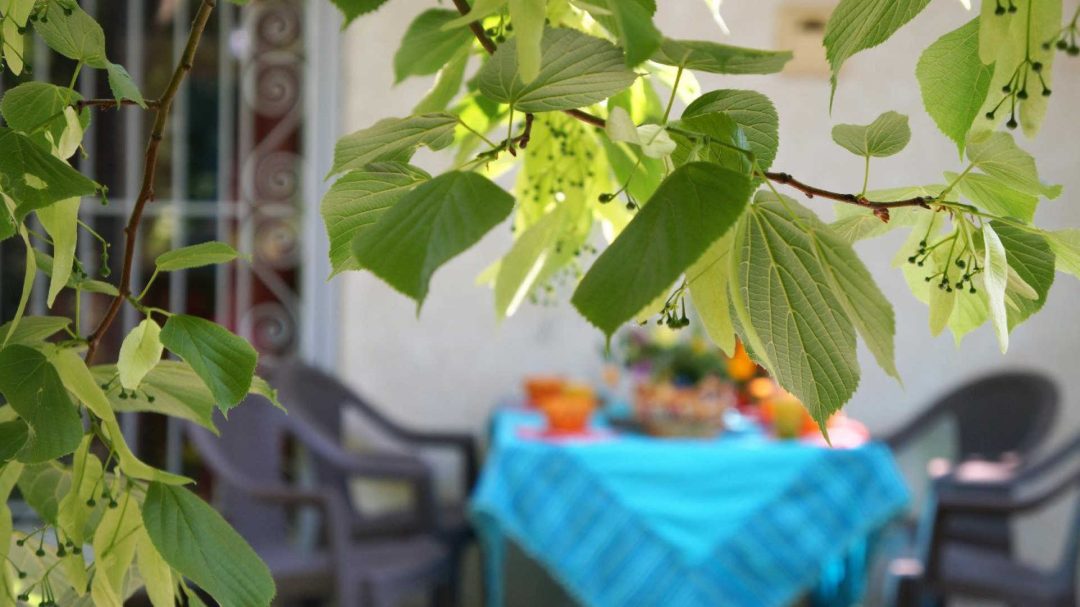 Photo 2 — Latour-Bas-Elne, Pyrénées-Orientales (66200)