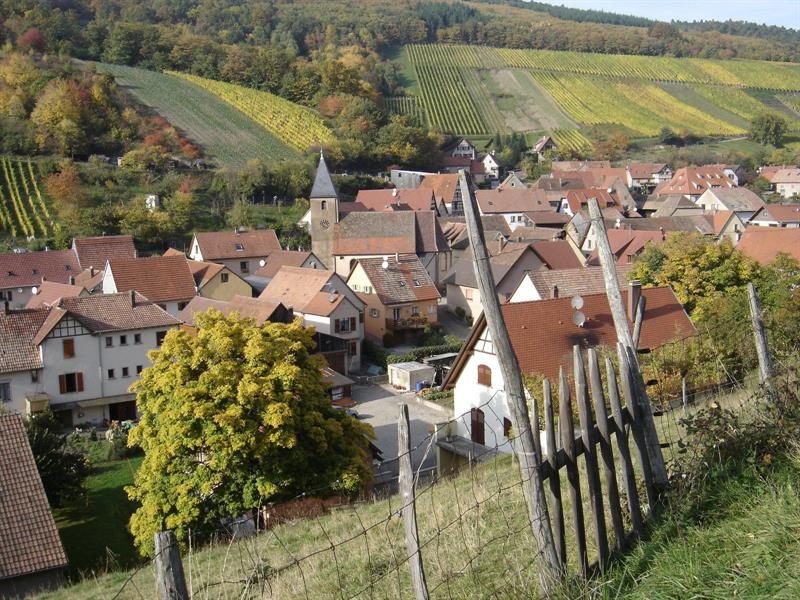 Photo 2 — Bernardvillé, Bas-Rhin (67140)