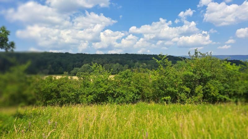 Photo 2 — Gresswiller, Bas-Rhin (67190)