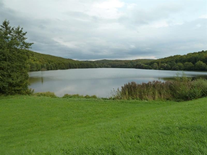 Photo 2 — Reichshoffen, Bas-Rhin (67110)