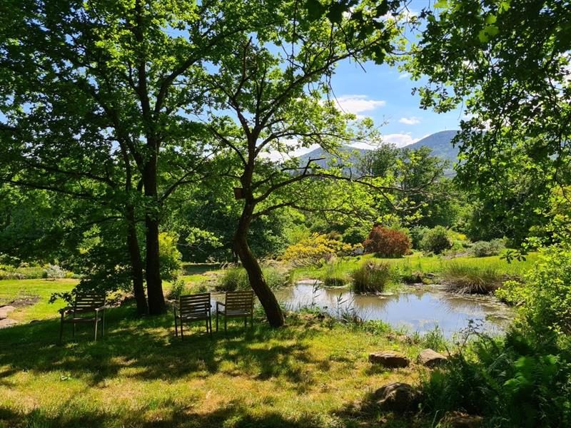 Photo 2 — Thanvillé, Bas-Rhin (67220)