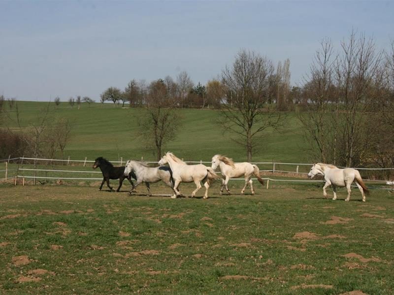 Wickersheim-Wilshausen, Bas-Rhin