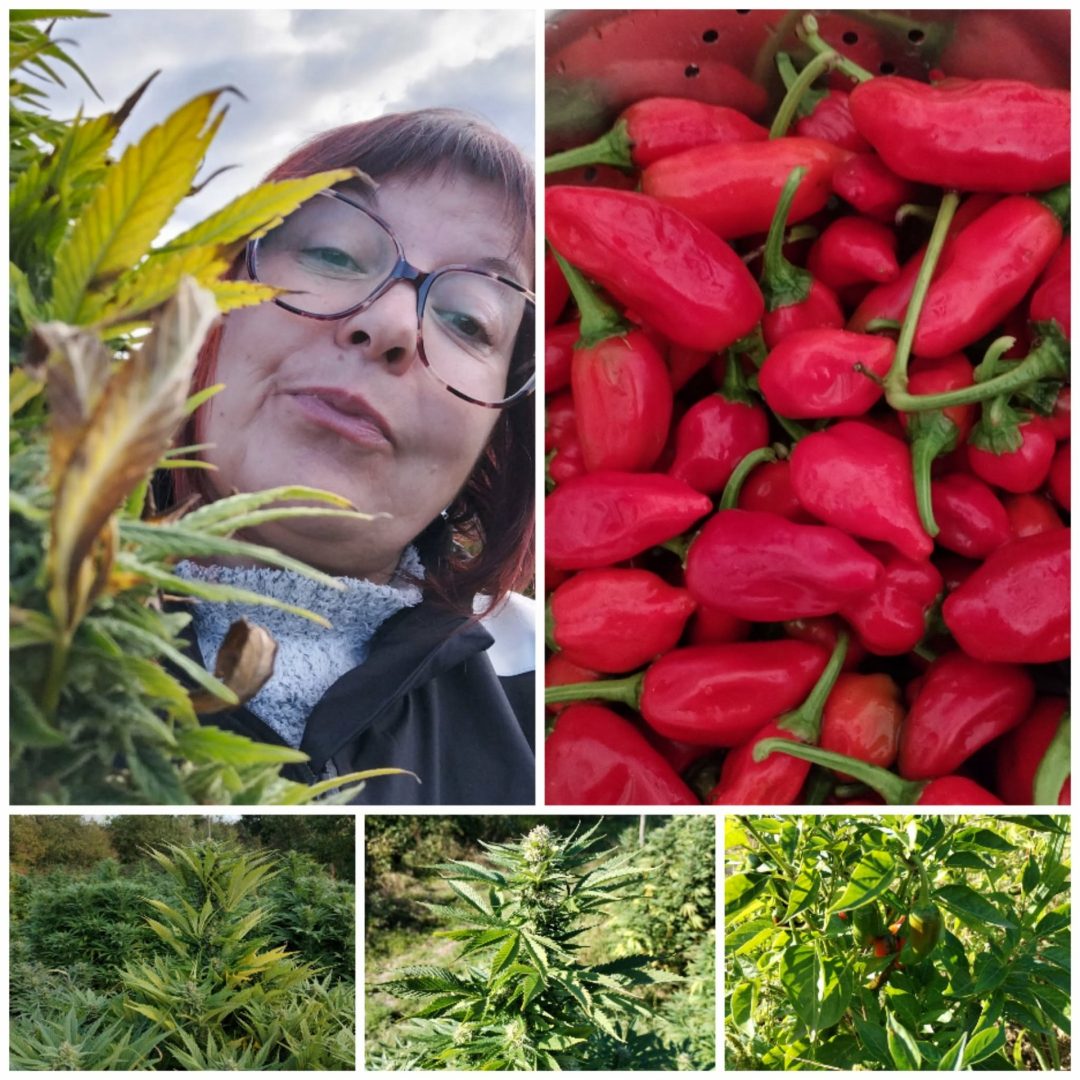 Photo 2 — Baudrières, Saône-et-Loire (71370)