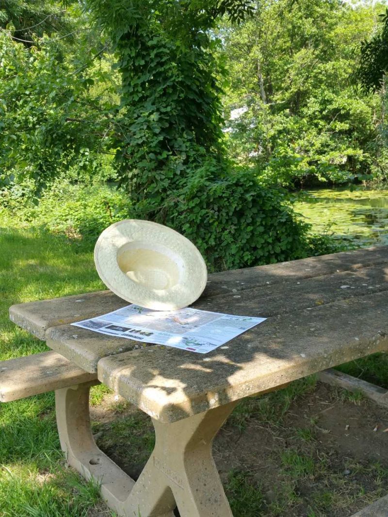 Photo 2 — Le Bourdet, Deux-Sèvres (79210)