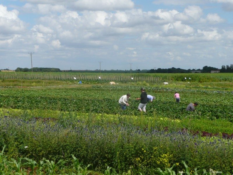 Pamproux, Deux-Sèvres