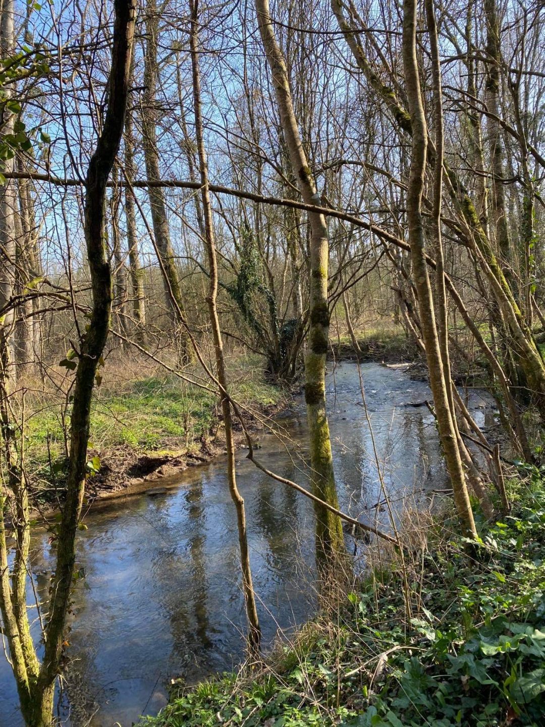 Photo 2 — Sainte-Ouenne, Deux-Sèvres (79220)