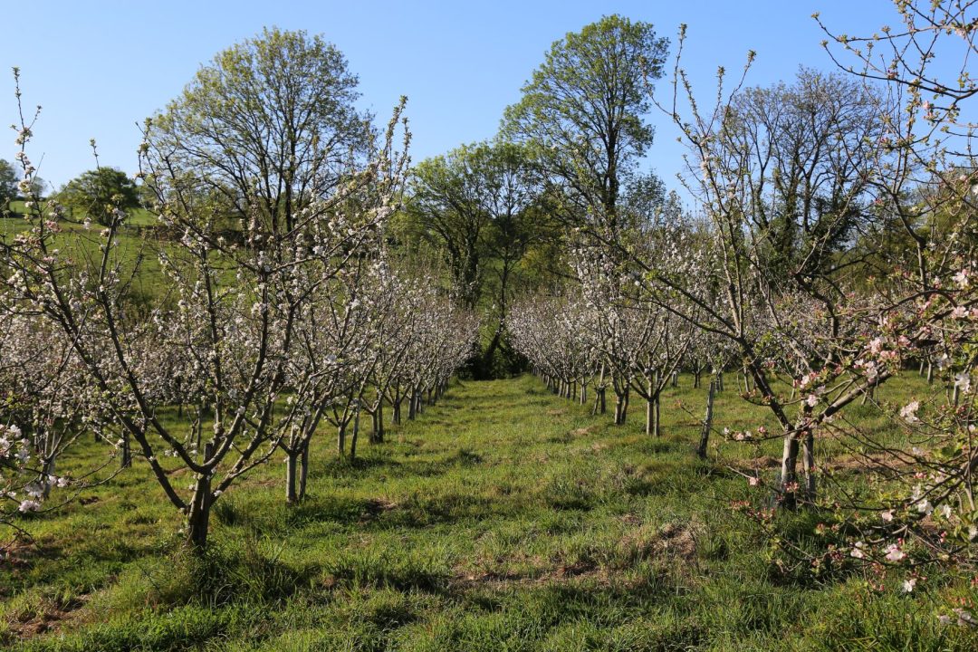 Saint-Pardoux-Soutiers, Deux-Sèvres