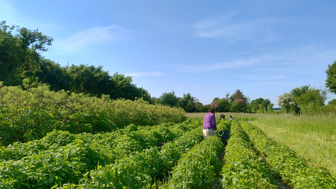 Vançais, Deux-Sèvres