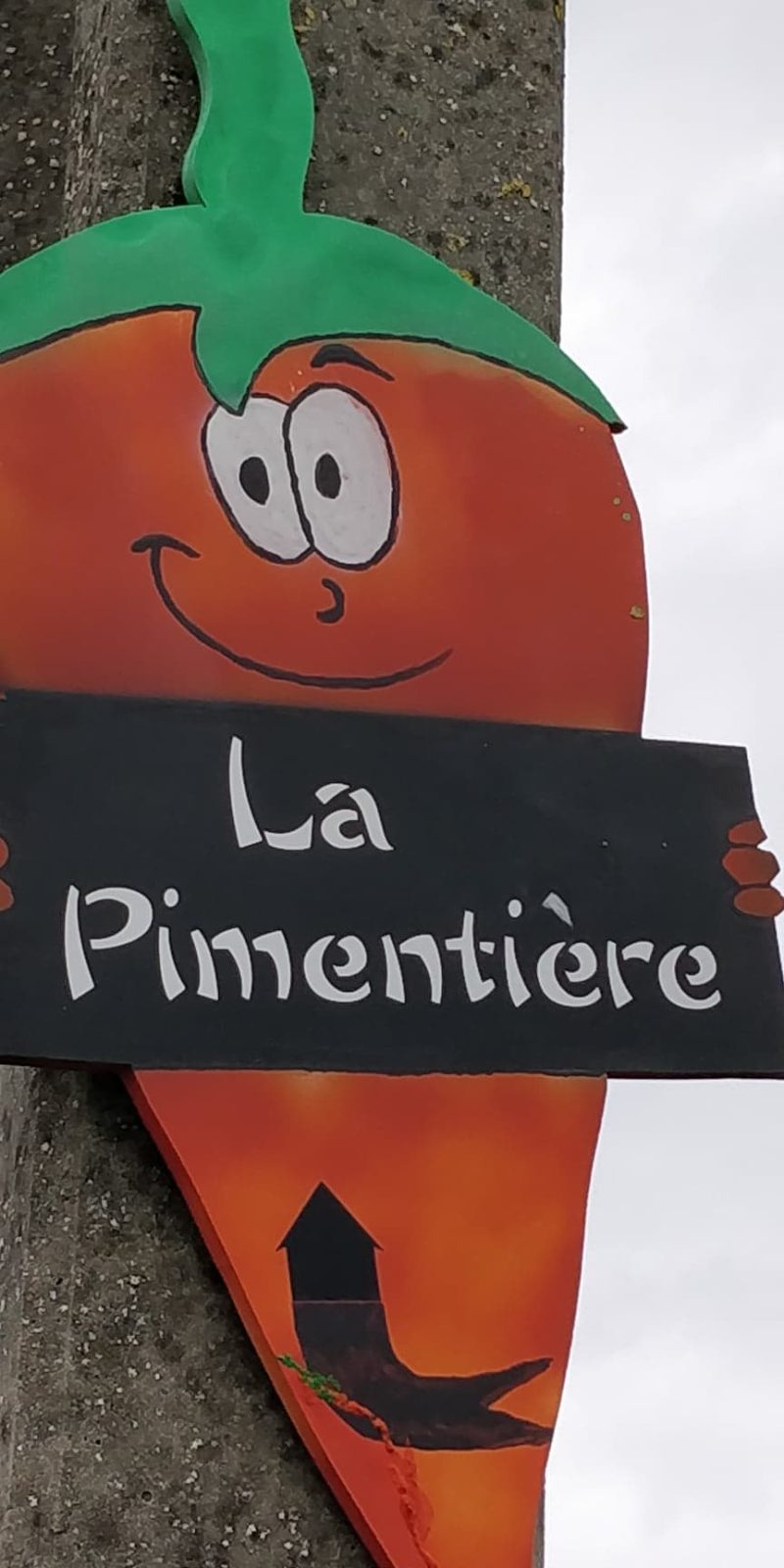 Viennay, Deux-Sèvres