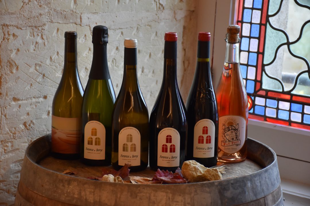 Photo 2 — Berrie, Vienne (86120)