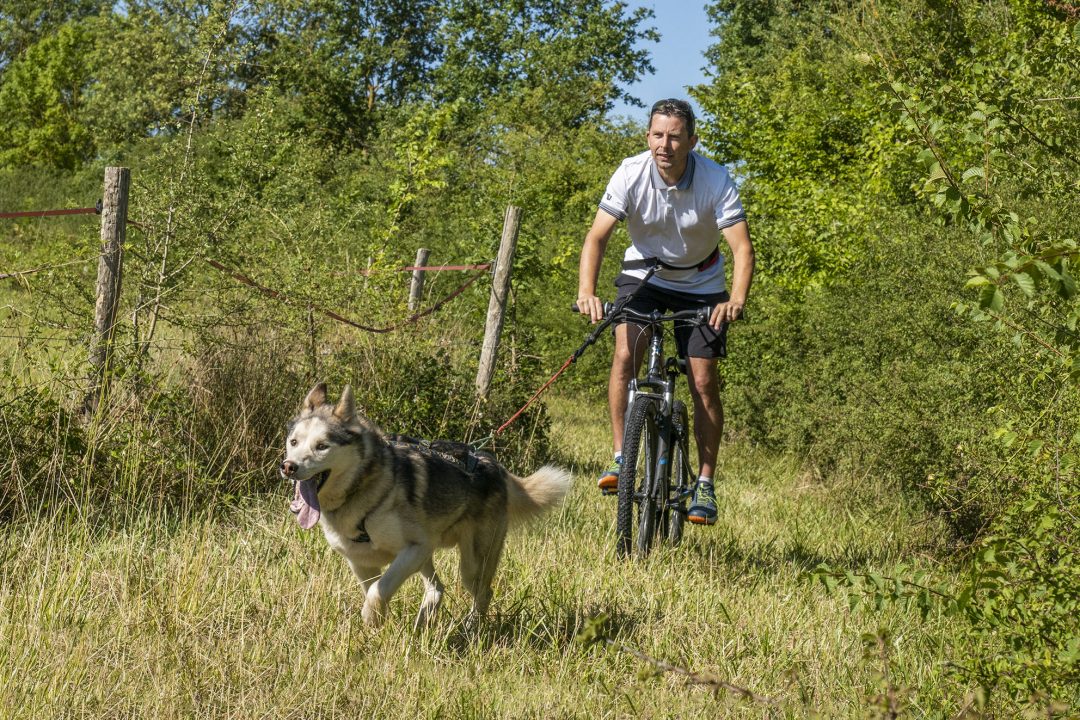 Photo 2 — Brion, Vienne (86160)