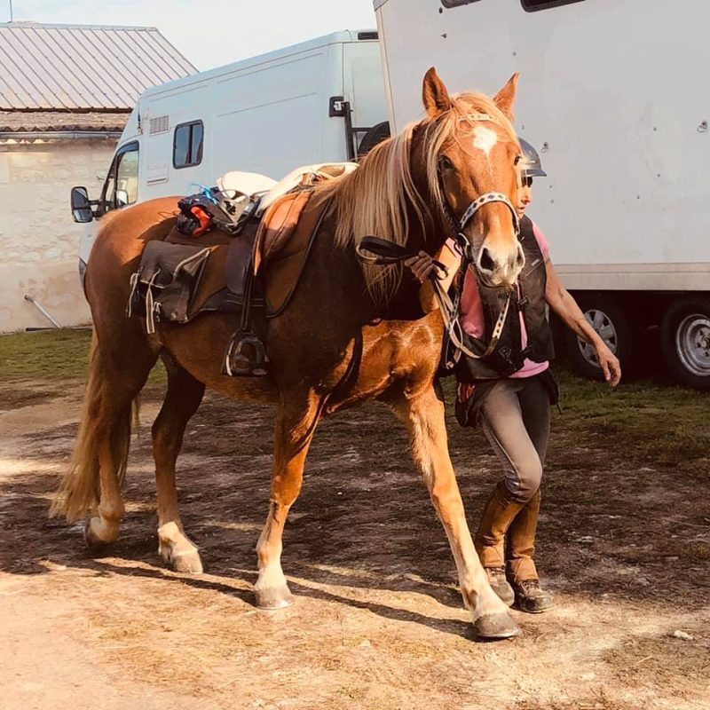 Curçay-sur-Dive, Vienne