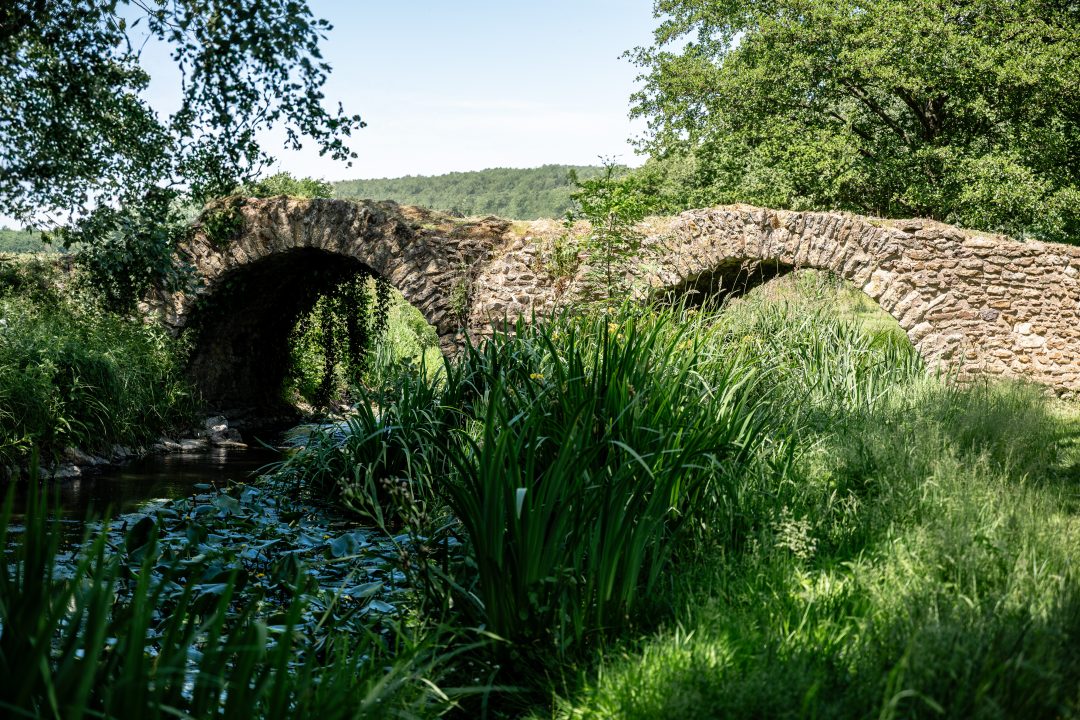Photo 2 — Curçay-sur-Dive, Vienne (86120)