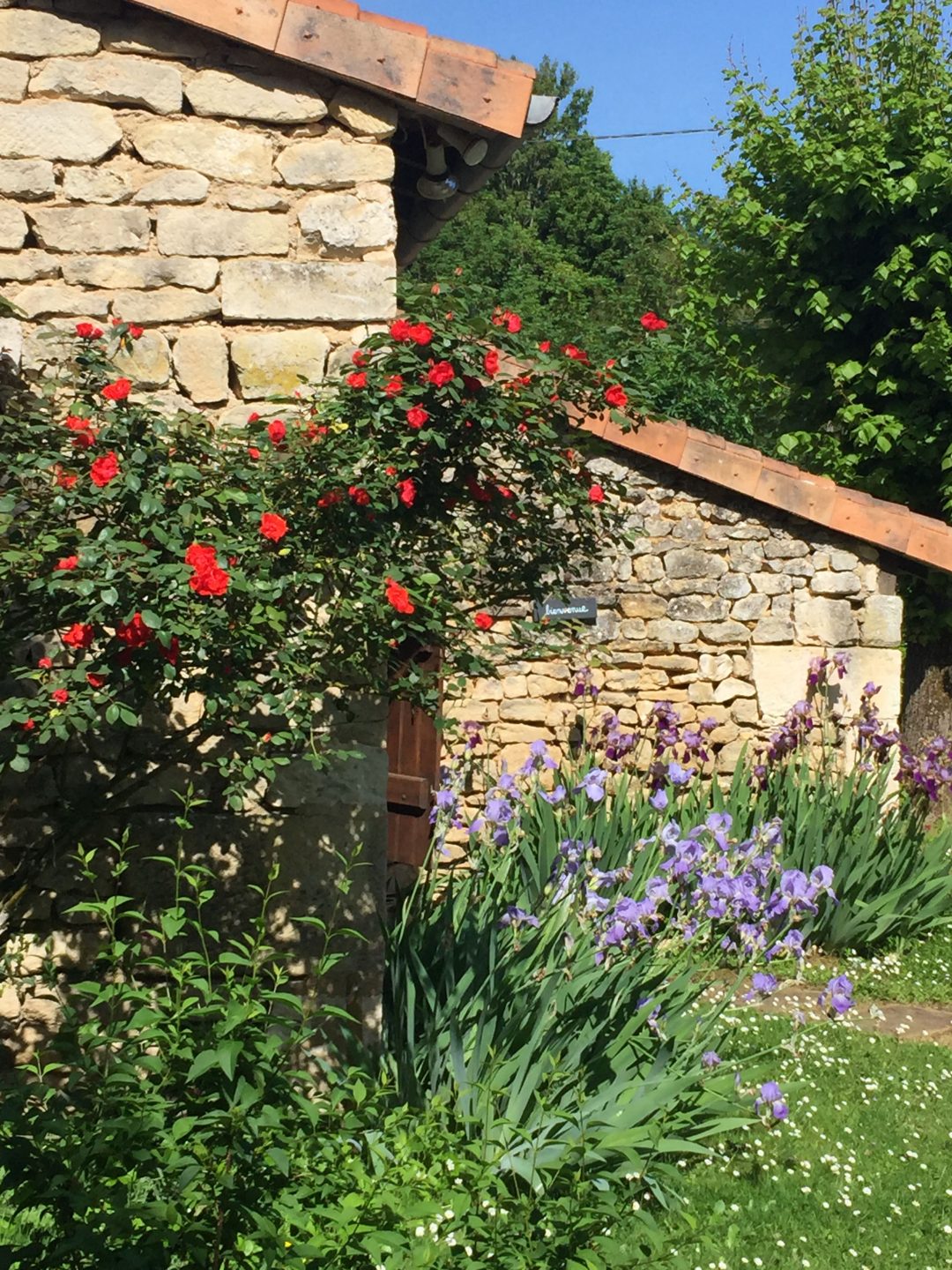 Photo 2 — Montamisé, Vienne (86360)