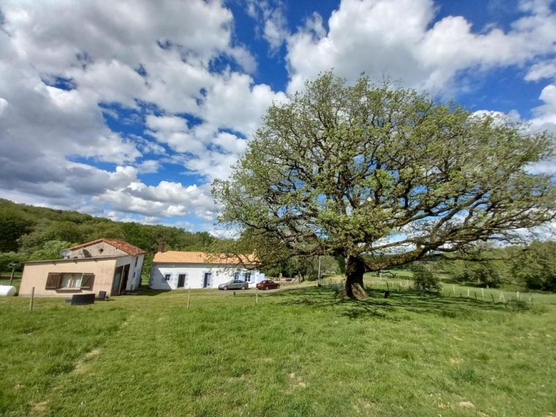 Photo 2 — Pindray, Vienne (86500)