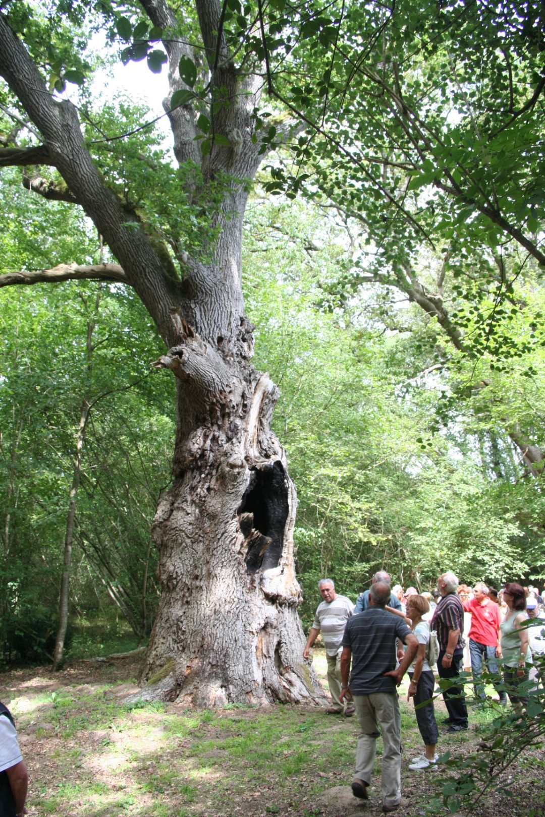 Photo 1 — Raslay, Vienne (86120)