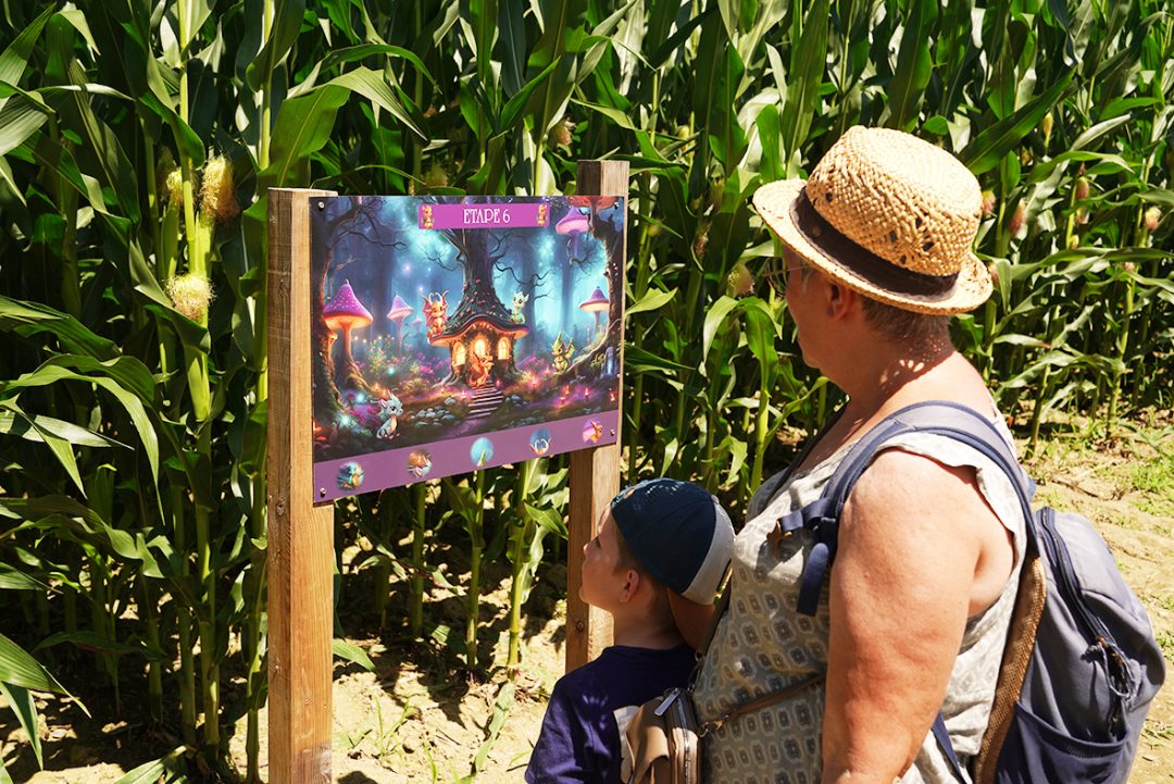 Photo 2 — Sèvres-Anxaumont, Vienne (86800)