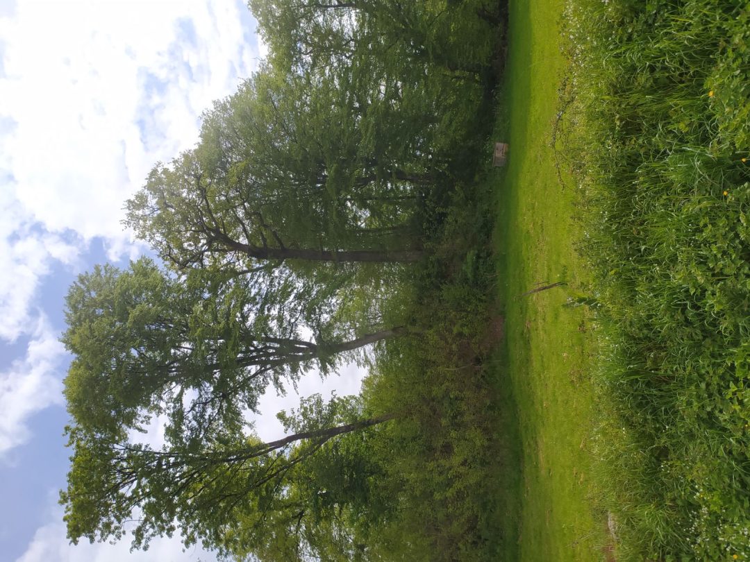 Mortemart, Haute-Vienne