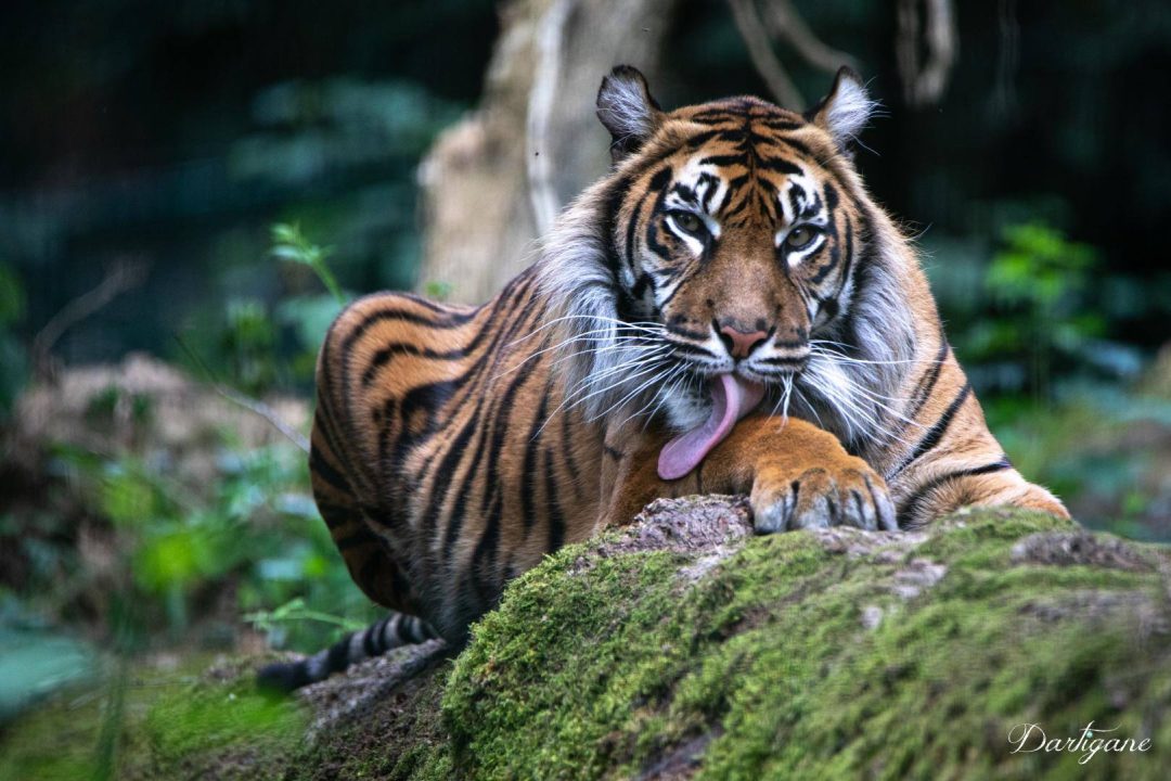 Photo 2 — Le Vigen, Haute-Vienne (87110)