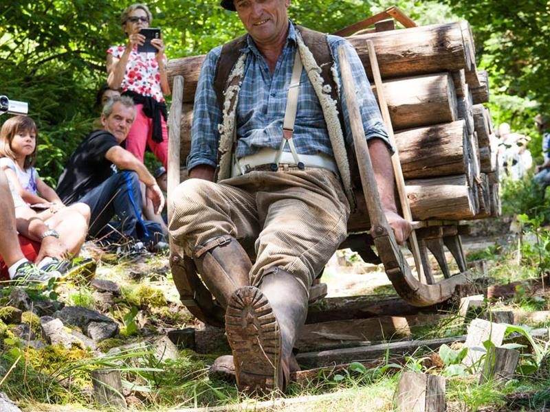 Photo 2 — Sapois, Vosges (88120)