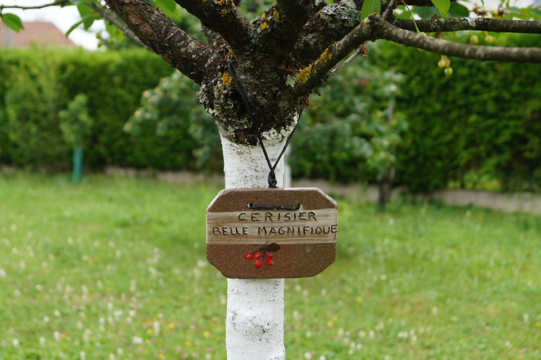 Photo 1 — Gurgy, Yonne (89250)