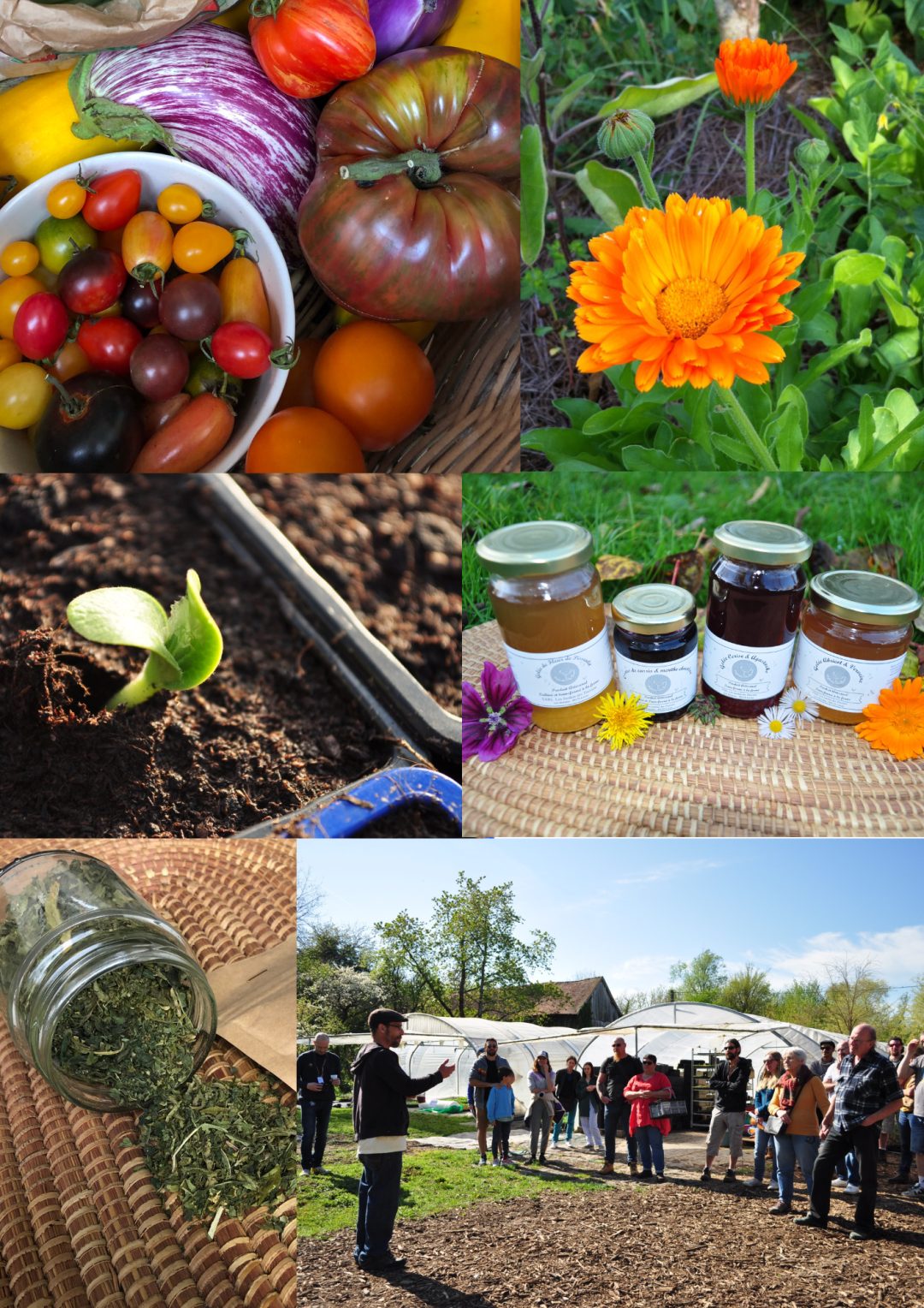 Photo 2 — Lavau, Yonne (89170)