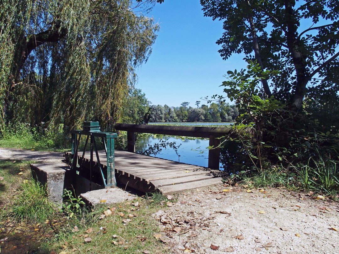 Photo 2 — Saint-Clément, Yonne (89100)