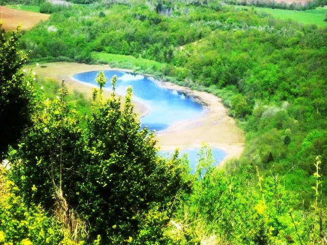Ambléon
