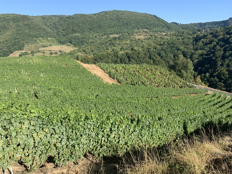 Boyeux-Saint-Jérôme