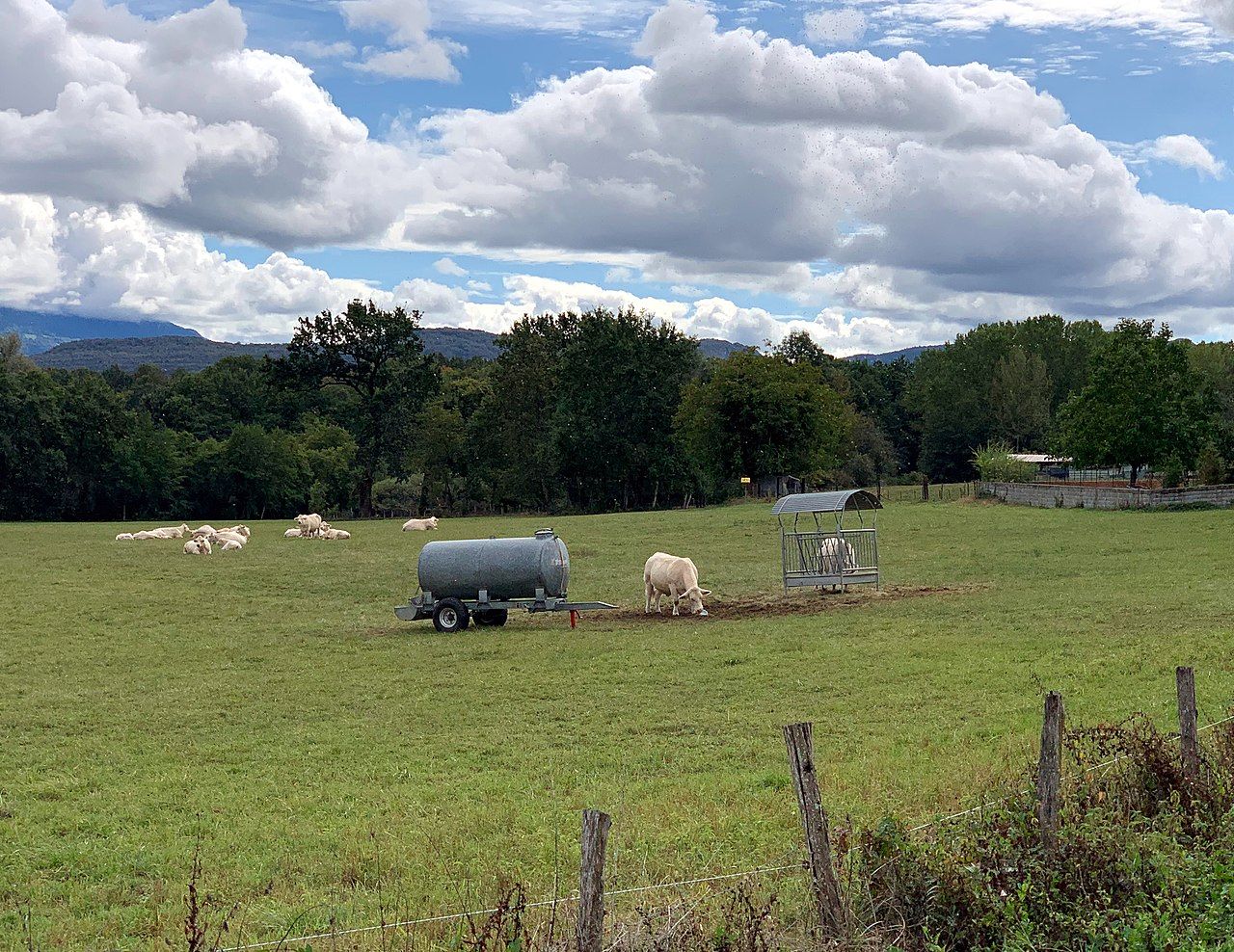 Photo 4 — Brens, Ain (01300)
