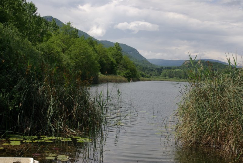 Colomieu