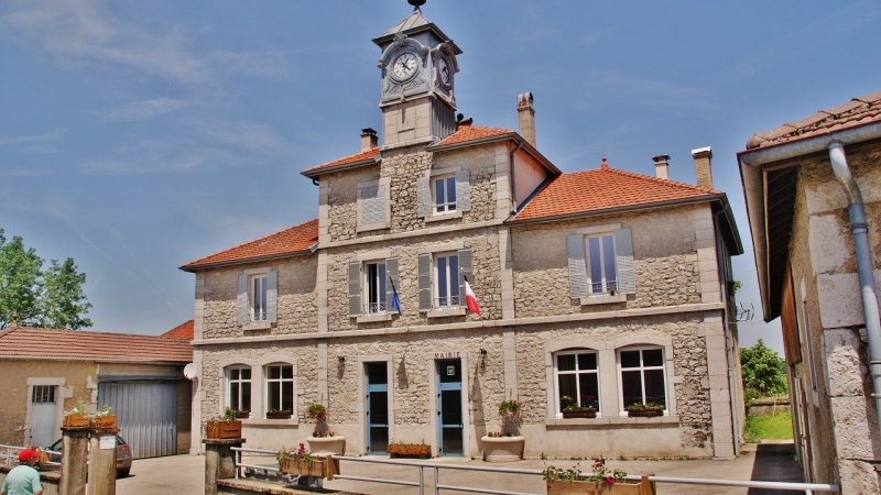 Condamine