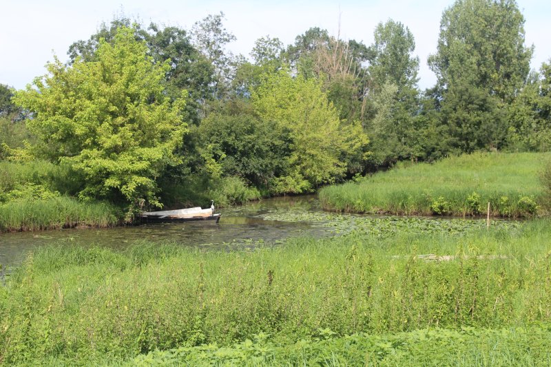 Cormoranche-sur-Saône