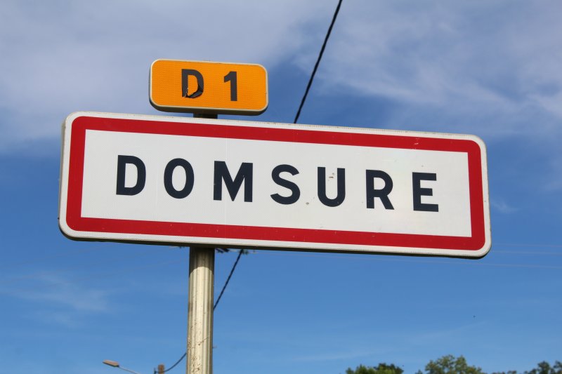Domsure