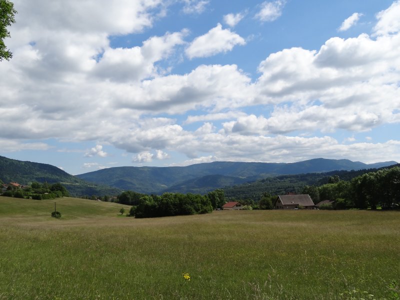 Échallon