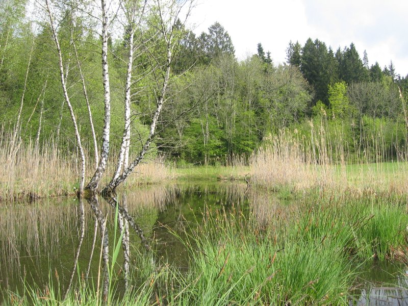 Géovreisset