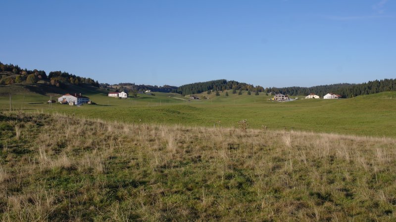 Lélex